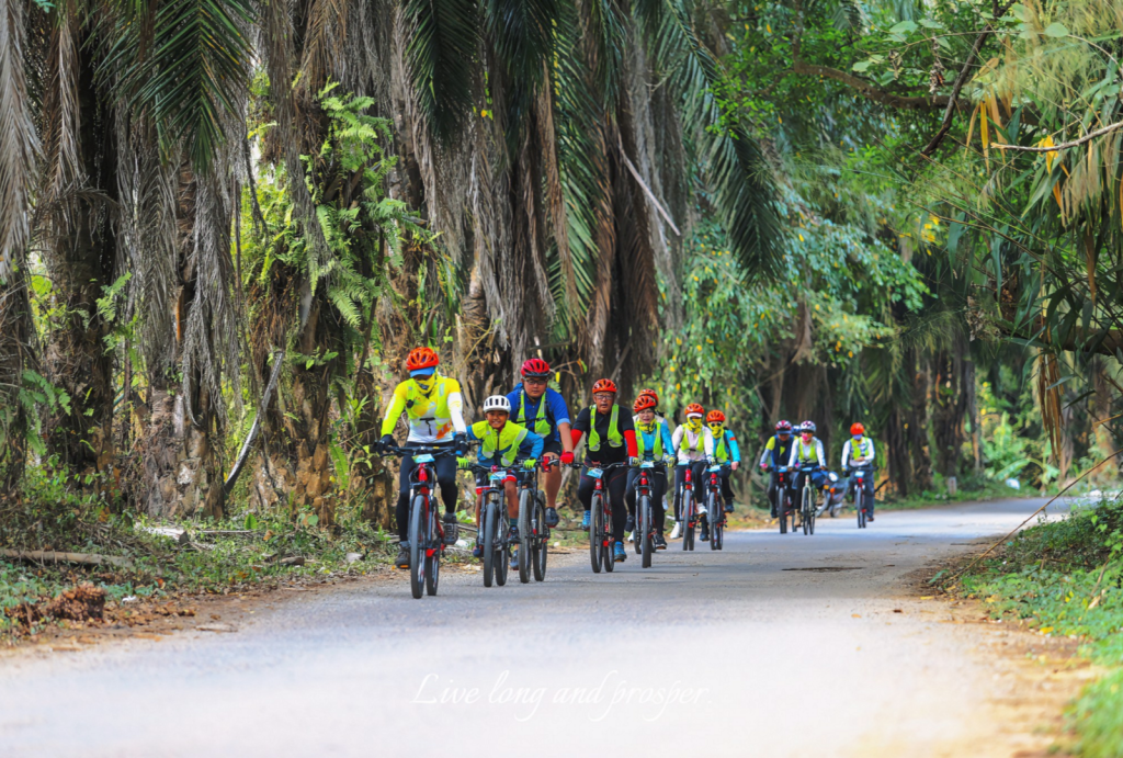 Cycling tours