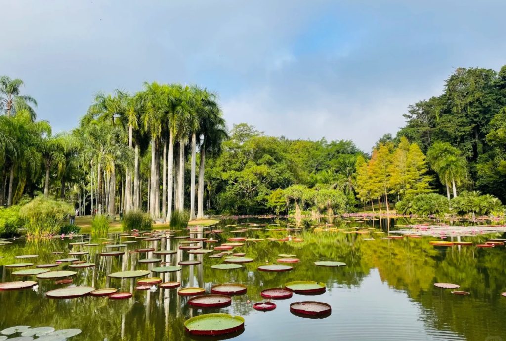 Xishuangbanna Tropical Botanical Garden