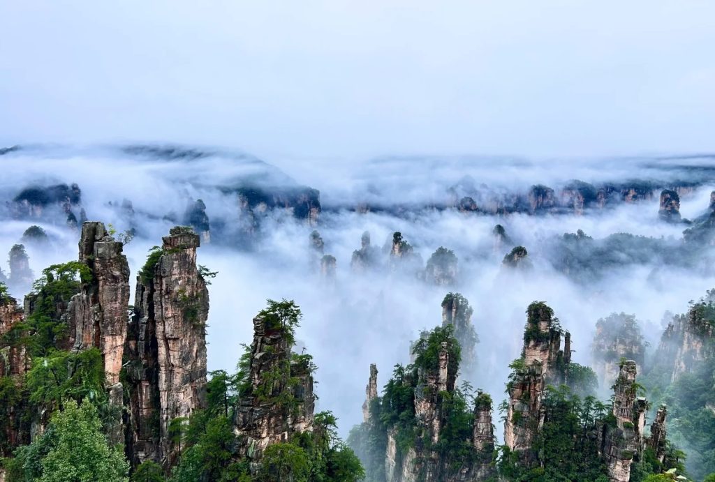 Misty landscape of Zhangjiajie National Forest Park after rain, jagged rock pillars emerge from thick white fog