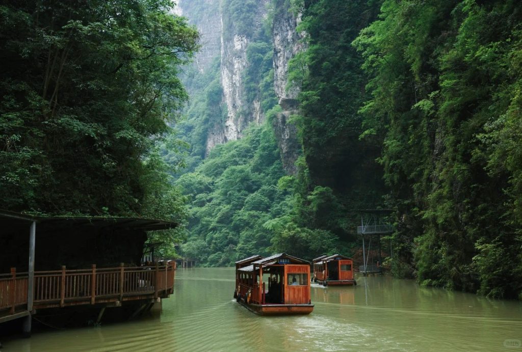 Take a boat to view the cliffs and forests