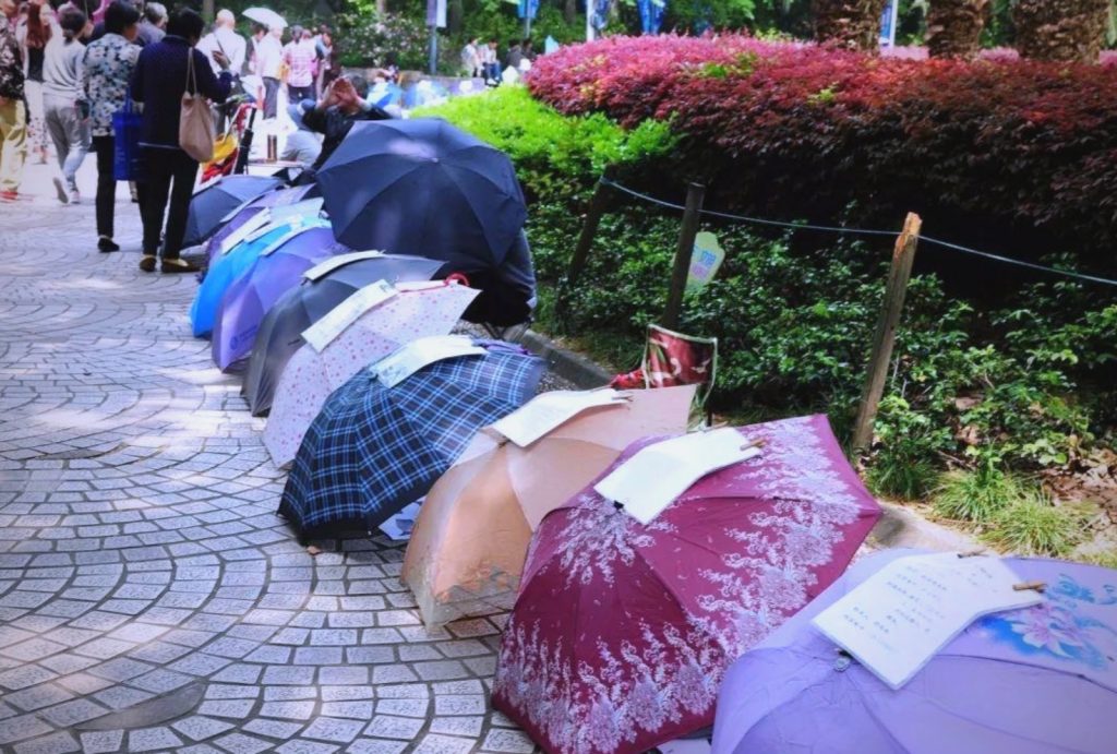 Umbrellas displaying marriage profiles line a pathway at Shanghai's famous People's Park marriage market.